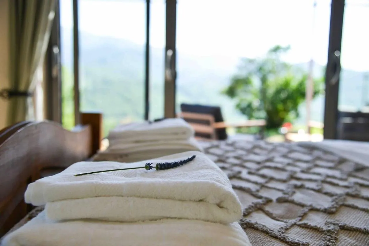Villa Mountain Hikers Luxury Retreat In Roquefixade 0*,  France